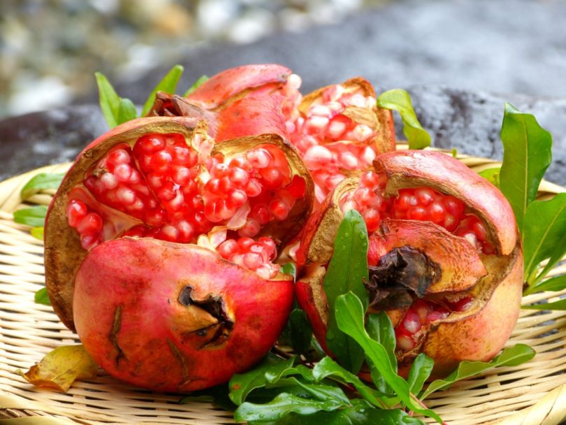 ザクロの花言葉 オトナの魅力匂わす真っ赤な果実の象徴するもの 花言葉のはなたま